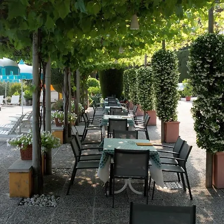 酒店 花园酒店 加尔达