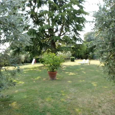 Garden 4*