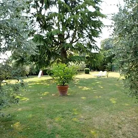 Garden ホテル 4*